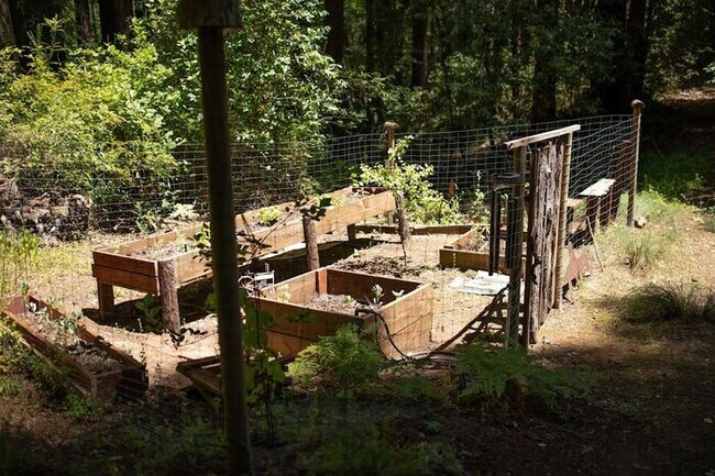Building Photo - Sunlit Sanctuary in the Redwoods