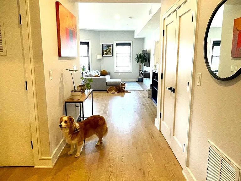 Building Photo - 37 Horace St