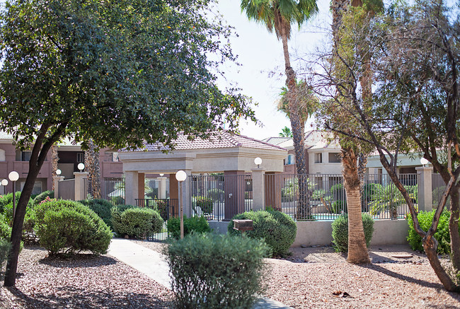 Community Grounds - Palm Terrace Apartments