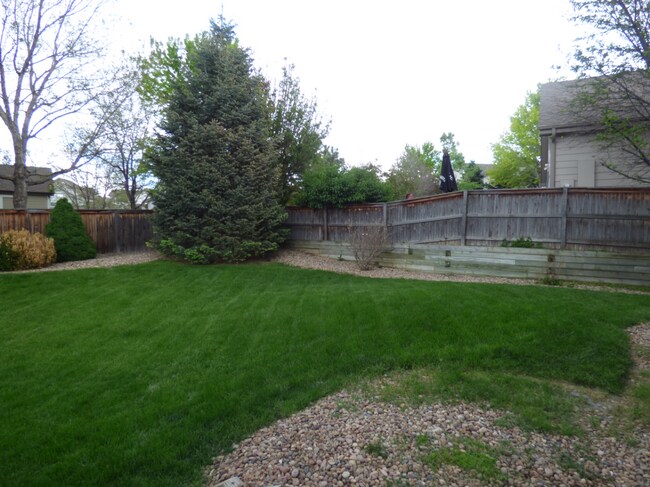 Building Photo - Fabulous Highlands Ranch Home!