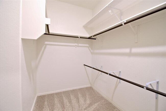 Building Photo - 2233 Forgetmenot Ln