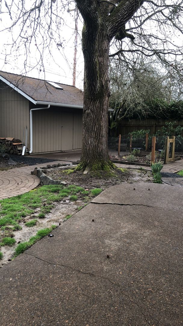 Building Photo - Beautiful Single Level 3/2 Charming NW Corvallis Home