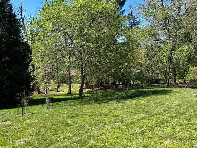 Building Photo - West AVL - Furnished Basement Efficiency