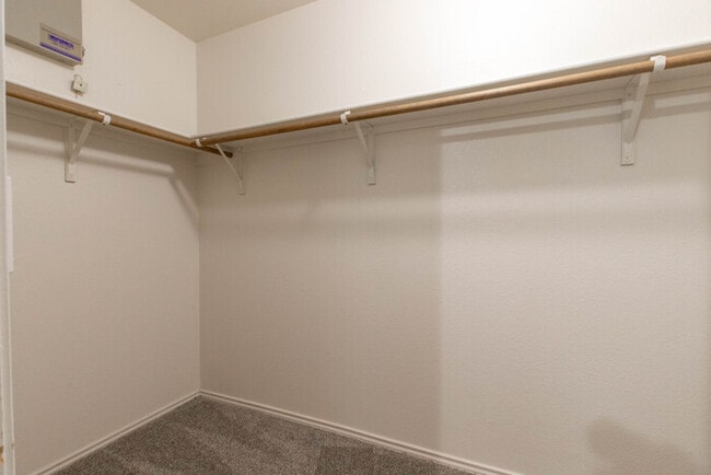 Building Photo - 2405 Spruce Ct