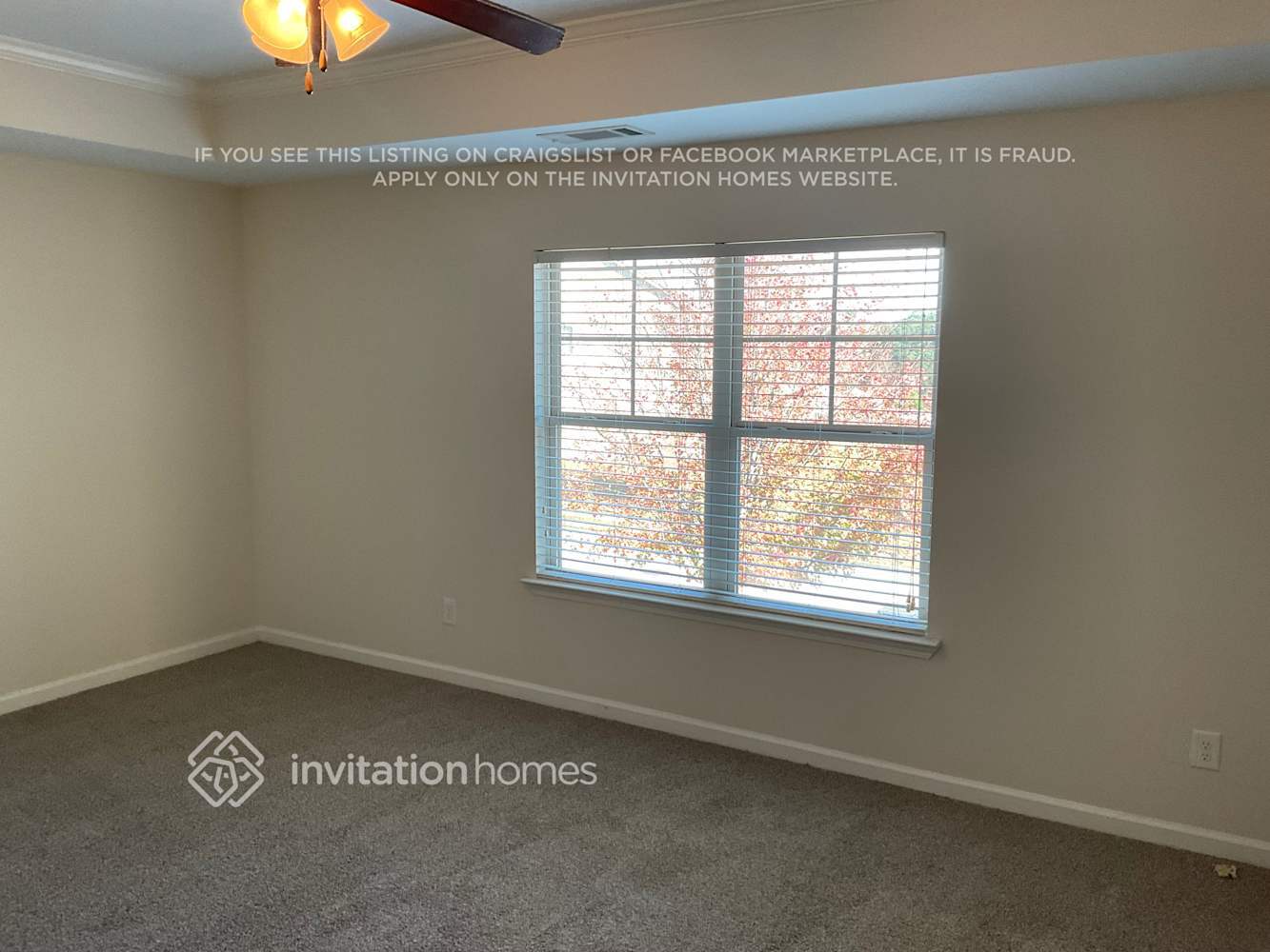 Building Photo - 319 Village Broad St