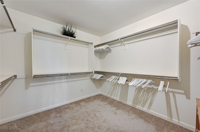 Building Photo - 8816 Cortile Dr