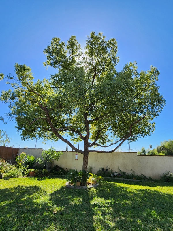 Building Photo - 6245 Ranch Style Highland Home Rnch