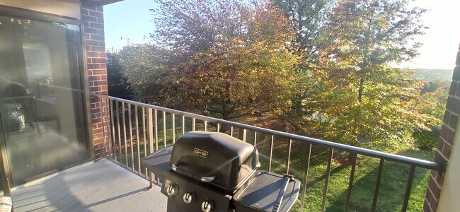 Large balcony for quiet dinners or morning coffees - 100 Roberts Ln