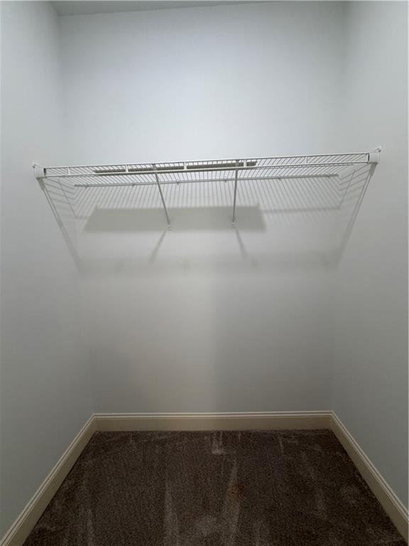 Building Photo - 4805 Carriage Bridge Ln