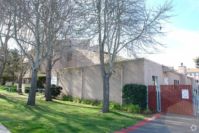 Building Photo - Casanova Plaza Apartments