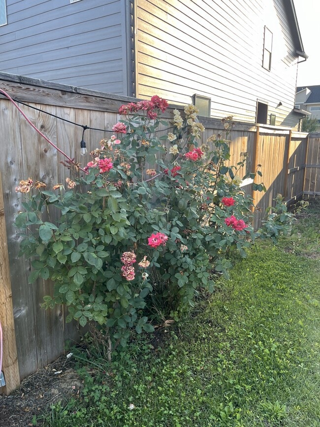 Building Photo - 828 S 24th Ave