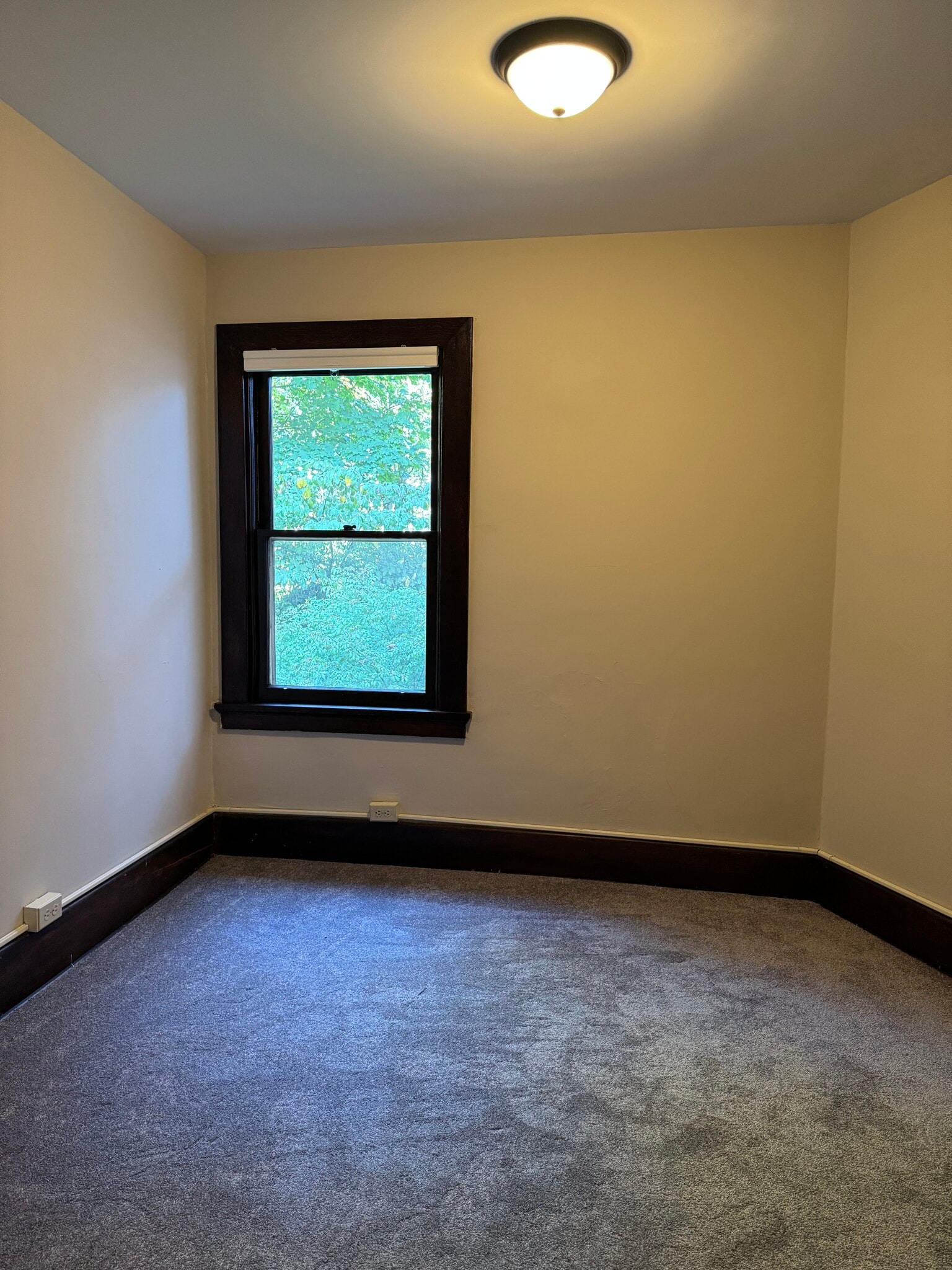 Office / den - 504 Todd St