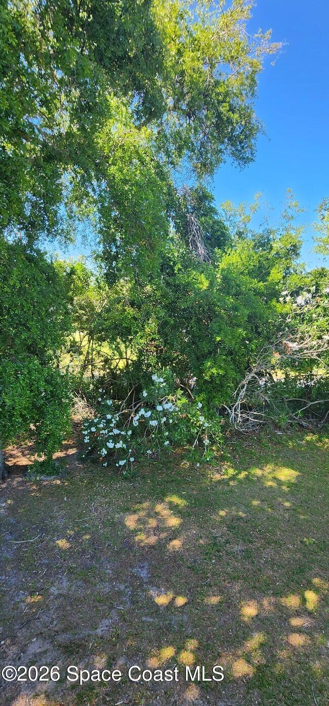 Building Photo - 2109 Hidden Grove Ln