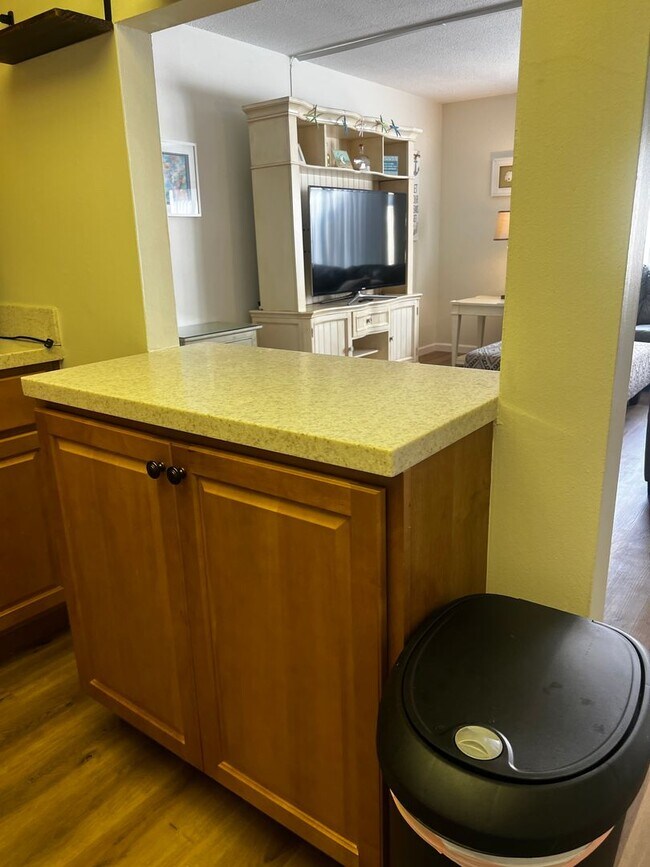 Building Photo - 2BD/1BA on Venice Island