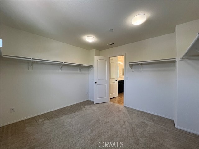 Building Photo - 8754 Armadillo Dr