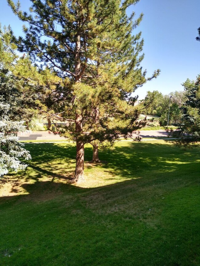 Building Photo - Awesome 2 Bedroom 2 Bath Condo w/ Garage P...