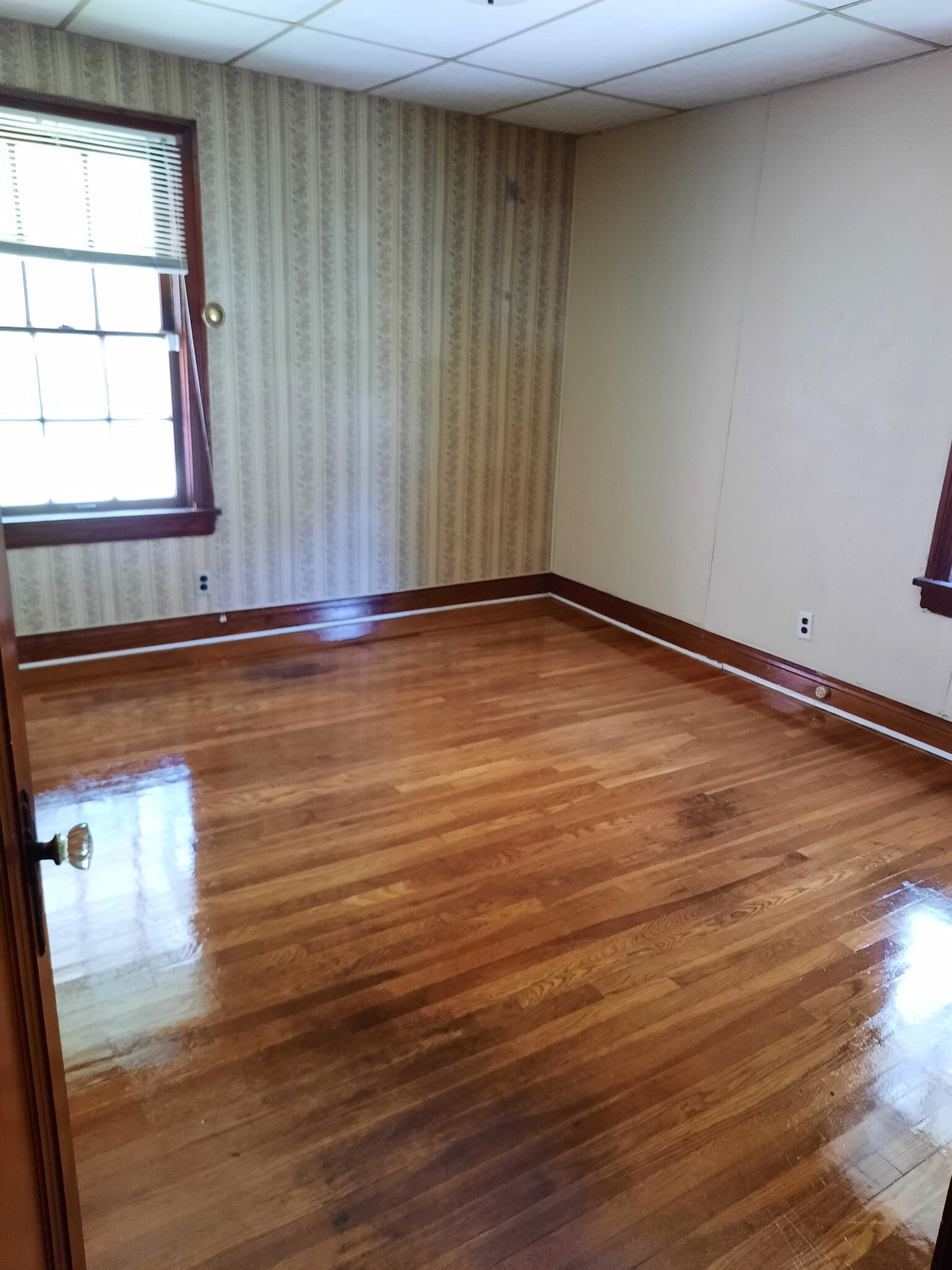 Bedroom #1 - 2120 Allston Ave