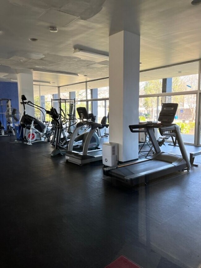 Building Photo - Large 744 sq.ft. 1 bedroom in historic Riverpark DC building