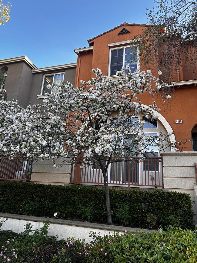 Building Photo - Lick Mill