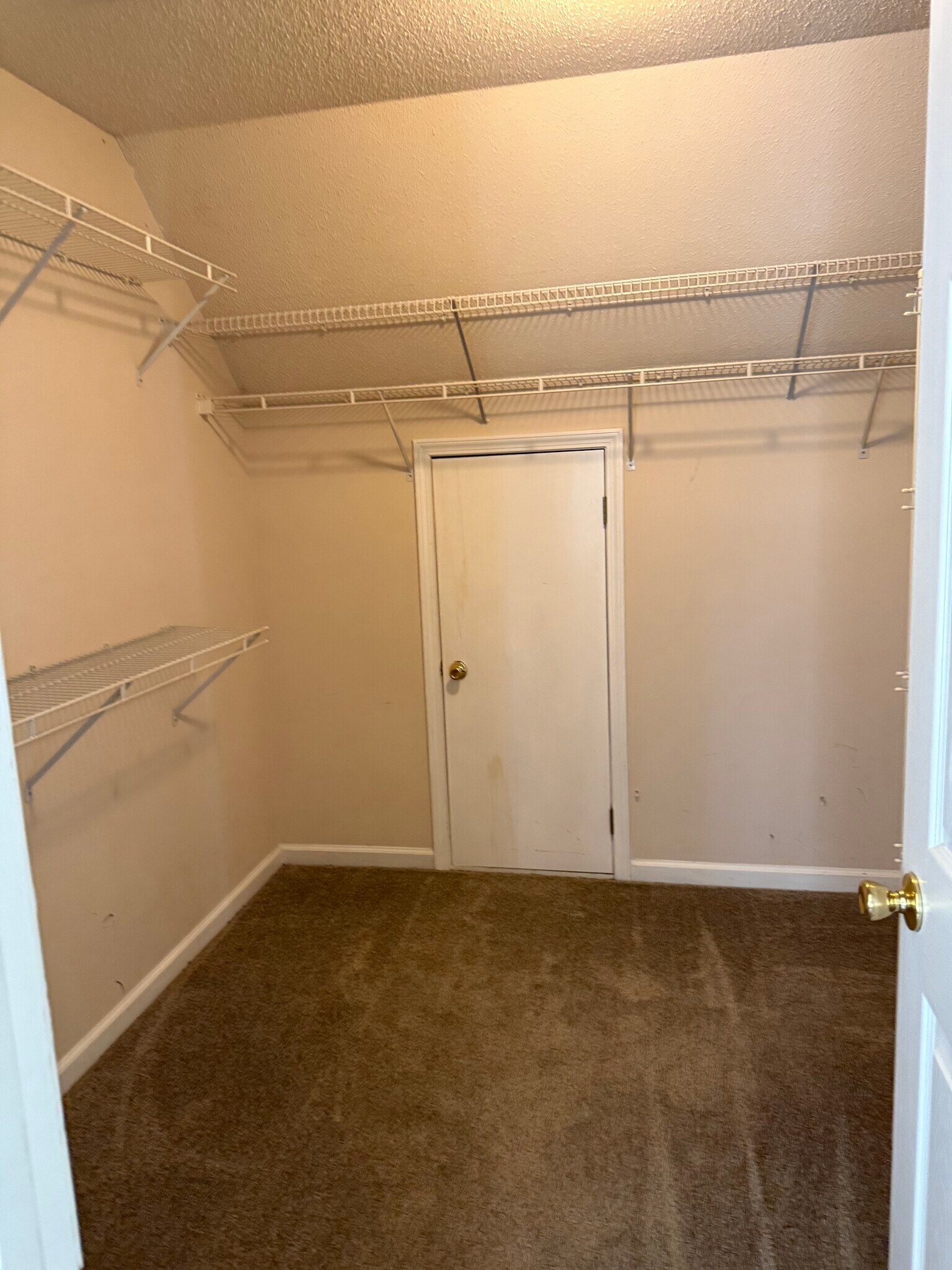 Master closet - 424 W Abington Way