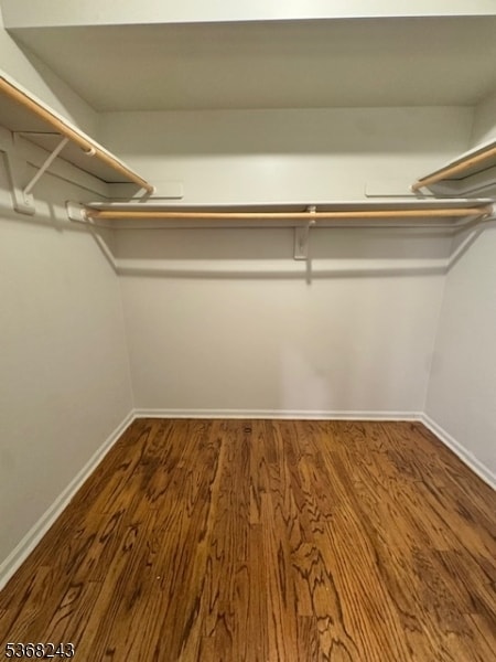 Building Photo - 64 Bentley Ct