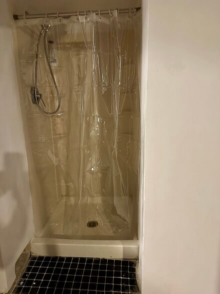 Basement Shower - 784 Carpenter St