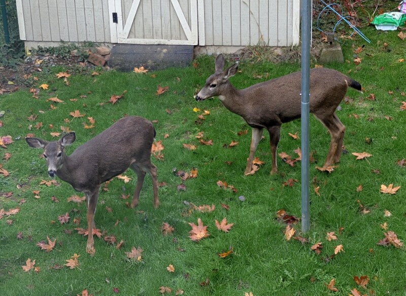 Building Photo - 99 Sunset Pl