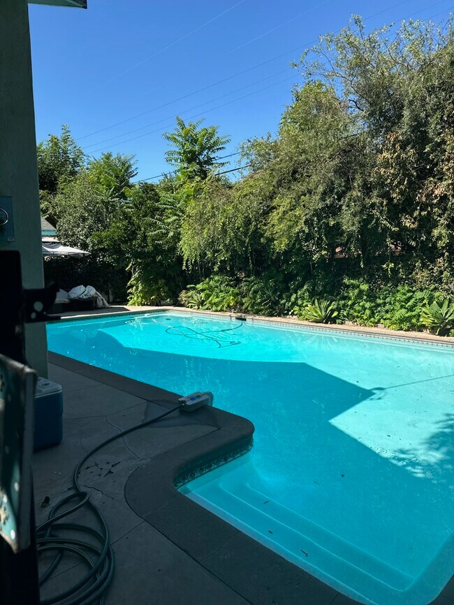 Sparkling pool surrounded by lush nature - 7307 Anatola Ave
