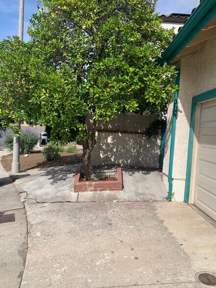Orange lime lowquat and guava mature trees - 5246 Calderon Rd