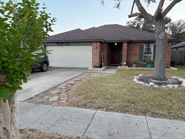 Primary Photo - Cano Lane