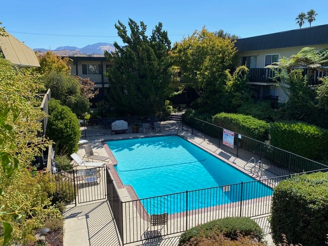 Pool from Apt 29 - 1365 Mt Pisgah Rd