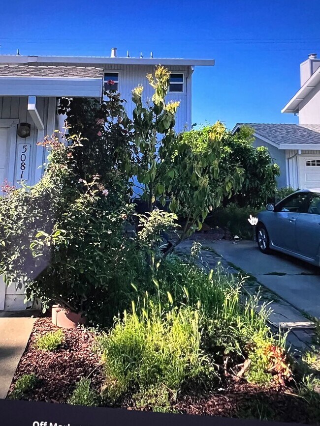 Primary Photo - Coming soon! South Davis Townhome On Veran...