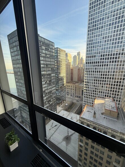 Building Photo - 900 N Lake Shore Dr