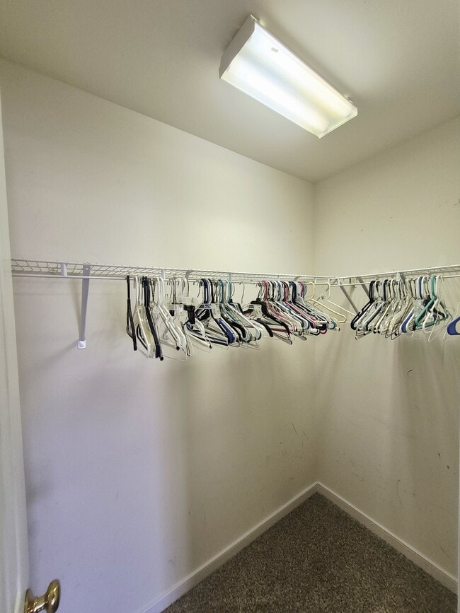 Building Photo - 1563 Providence Knoll Dr