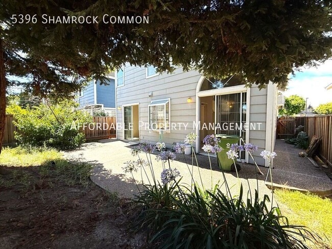 Building Photo - 5396 Shamrock Common