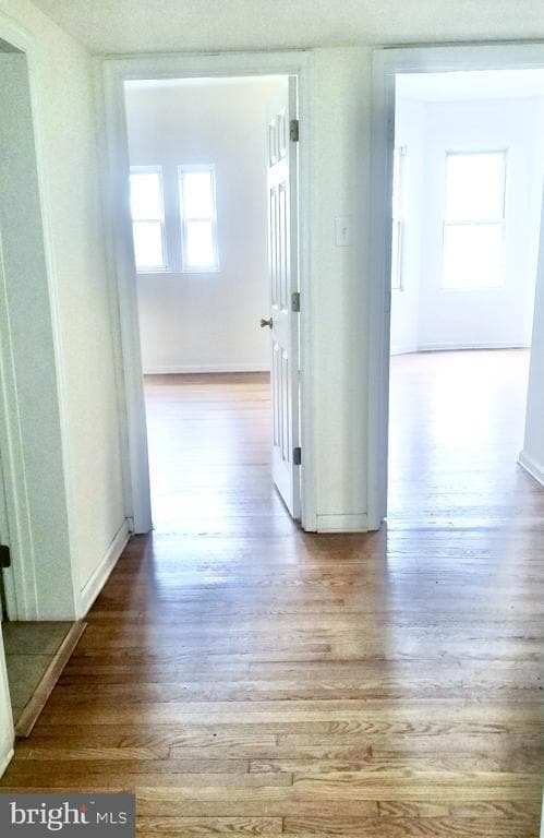 Building Photo - 805 Brooks Ln