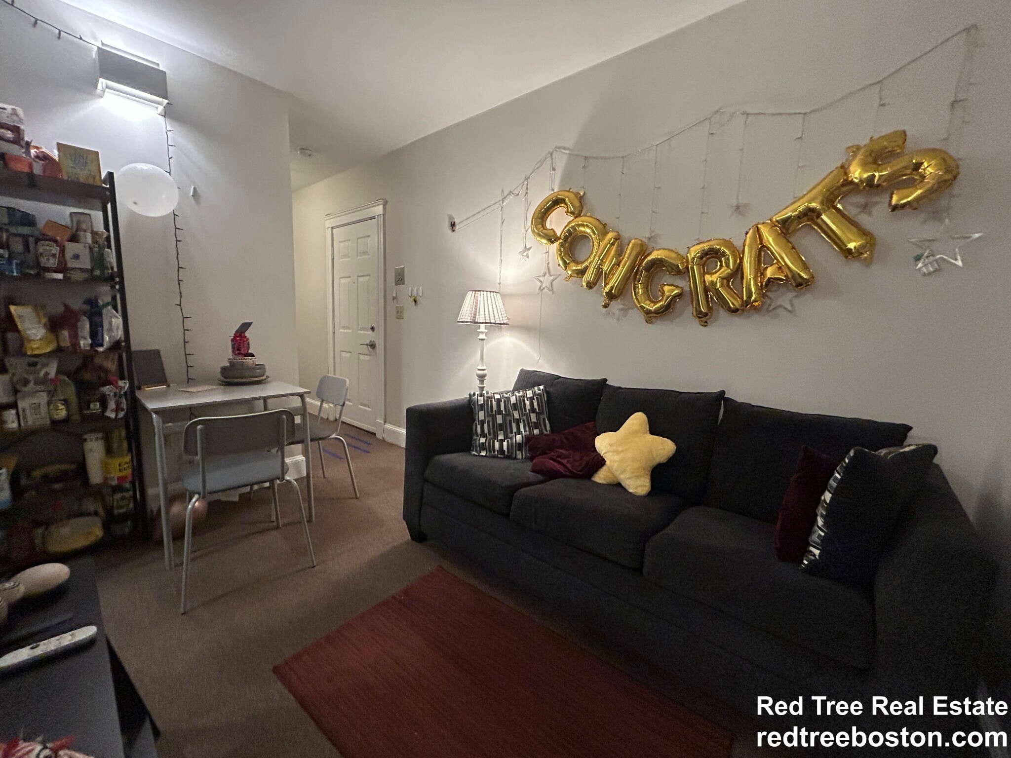 Apt 1E - 822 Beacon St