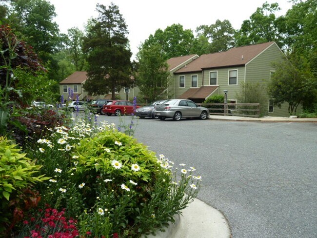 Building Photo - Lovely, updated 2br in Weatherhill. Great location & Carrboro charm!