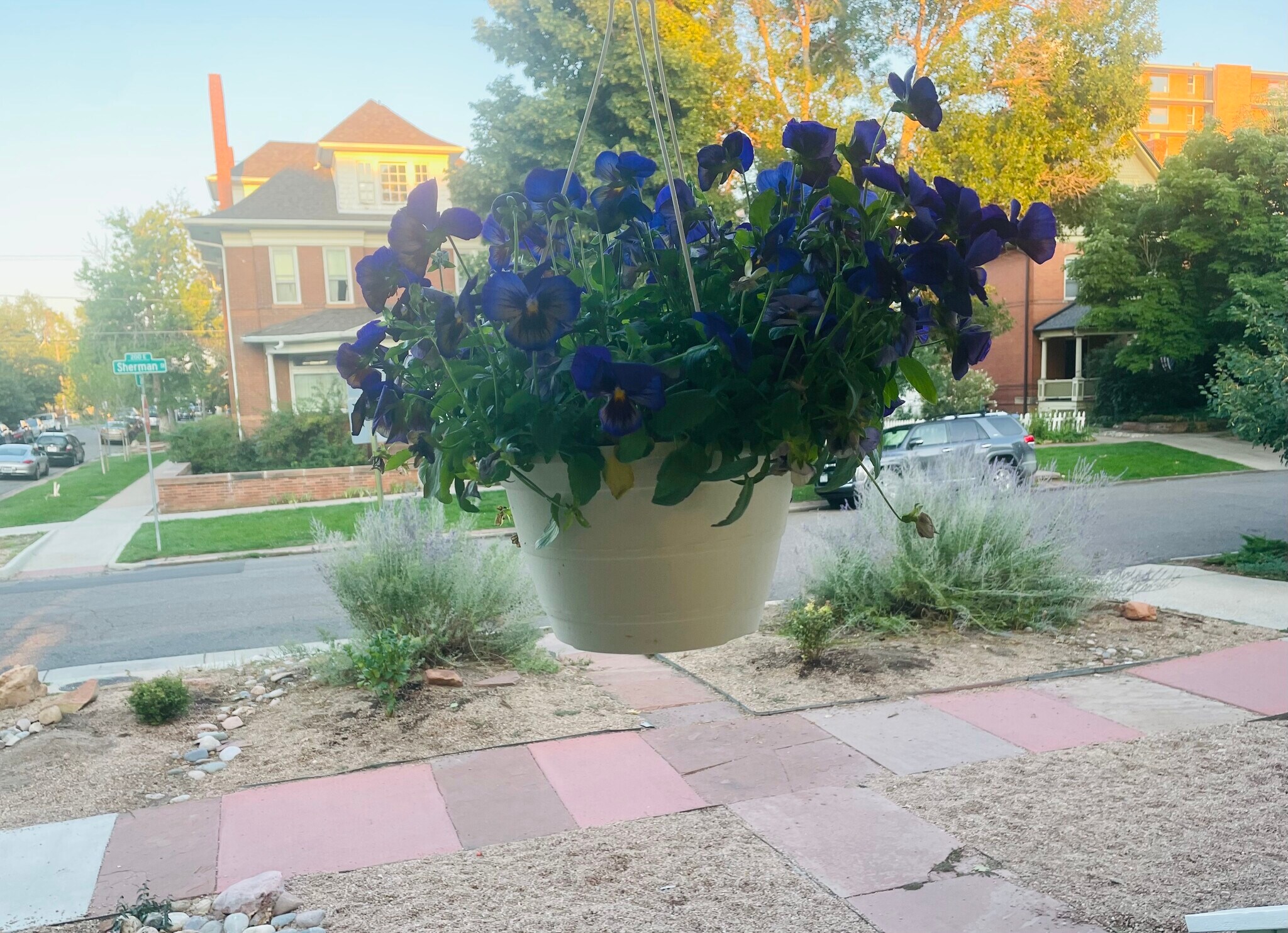 Building Photo - 147 N Sherman St