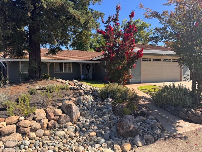 Building Photo - 1506 Crestmont Oak Dr