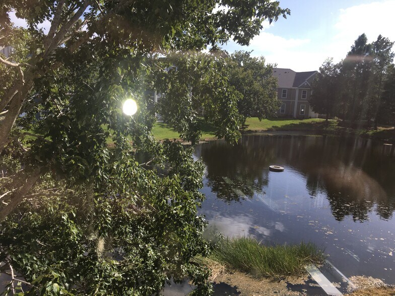 Gorgeous lake view from main room and bedroom - 5520 Rosehill Rd