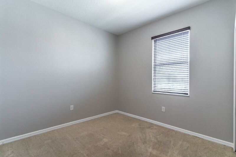 Building Photo - 2572 Biscotto Cir