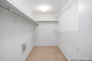 Building Photo - 8090 Chestnut Ash Dr