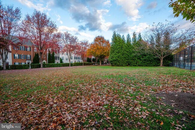 Building Photo - 92 Chevy Chase St