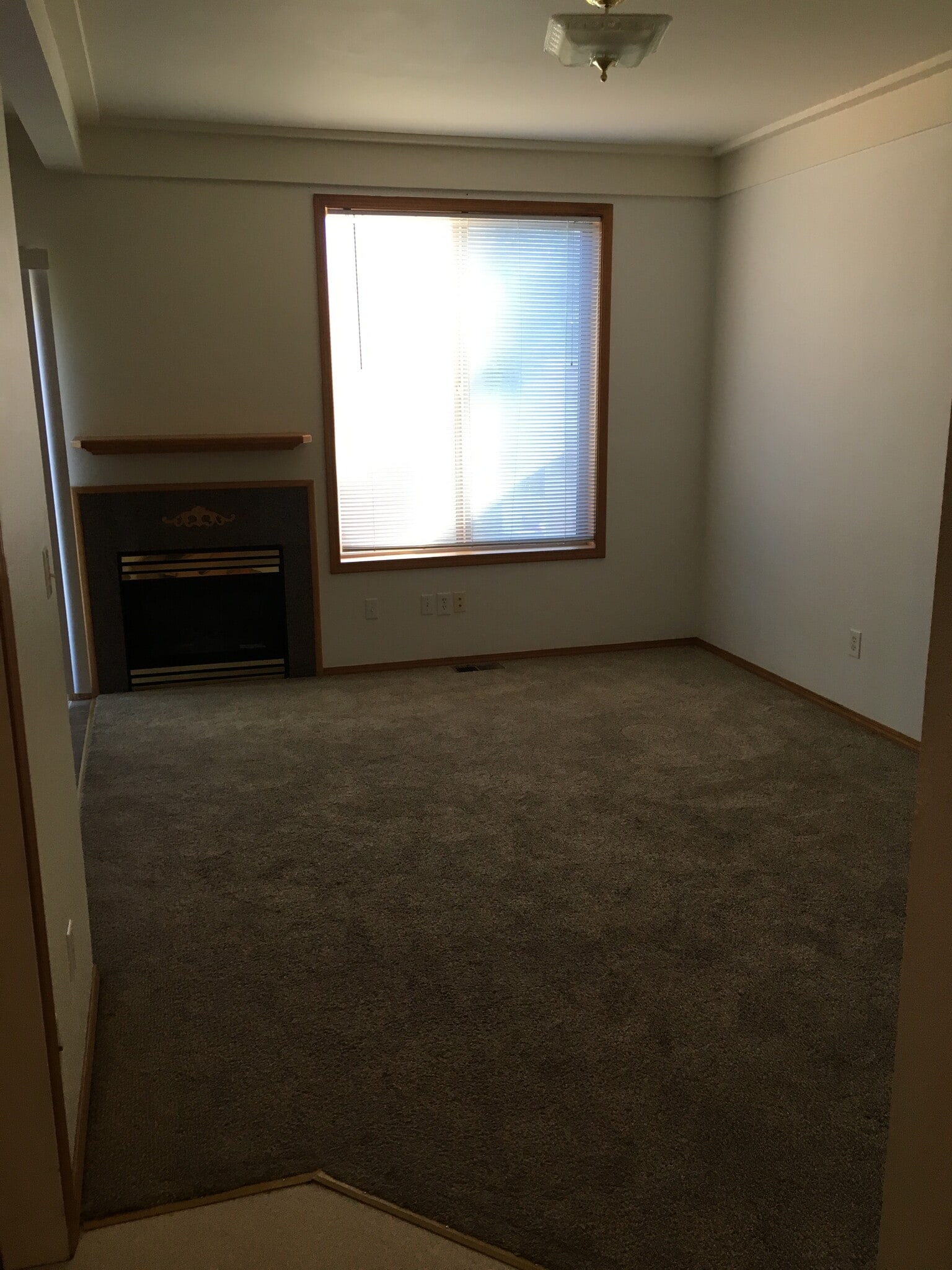 Living room just past entry, with gas fireplace - 1119 Maple St