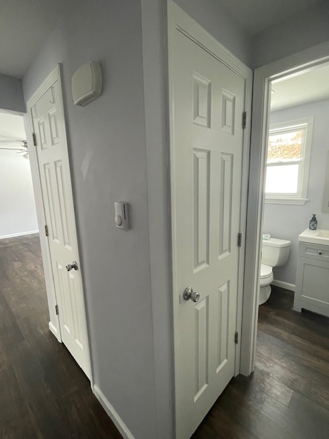 Bathroom Closet and Entrance Hallway Closet - 264 Lutz Rd