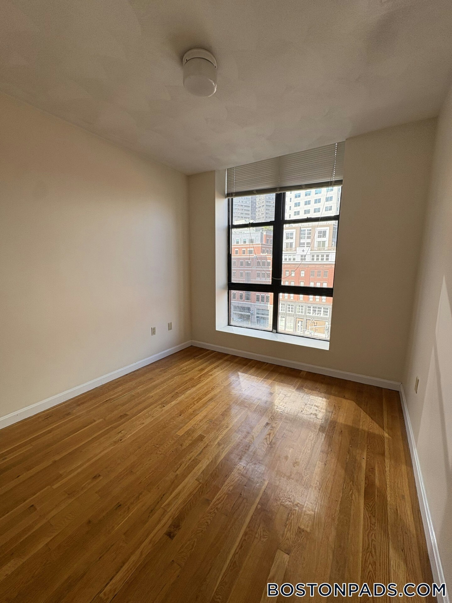 Building Photo - 81 Essex St