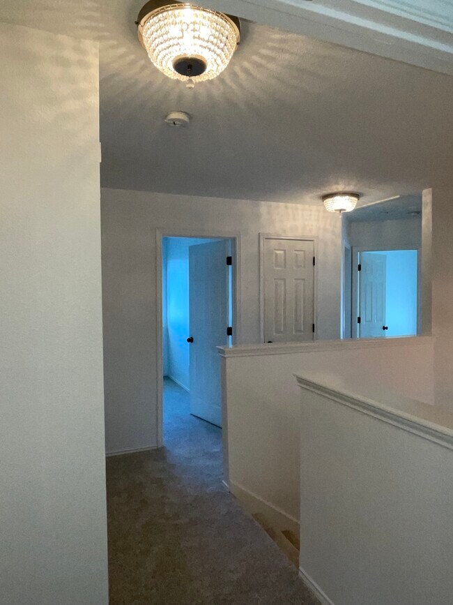 Hall - 3809 Willie Mays Ln