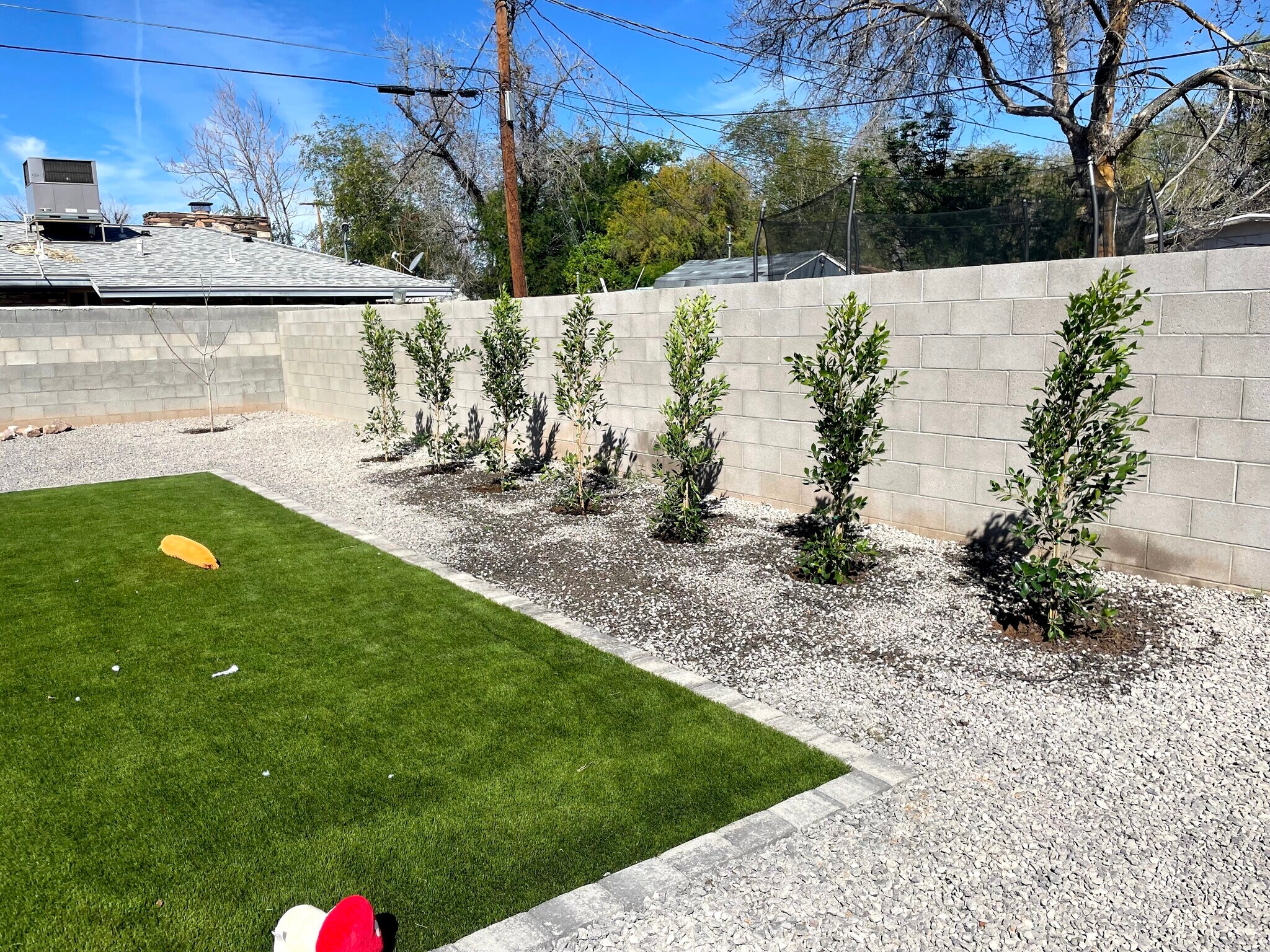 Tree additions - 214 N Horne