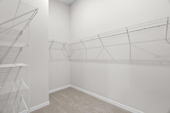 Building Photo - 36920 Sagemoor Dr